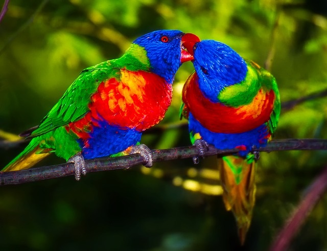 colors