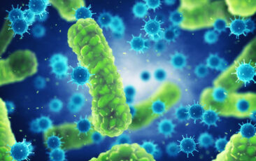 Antimicrobial Coatings to Textiles